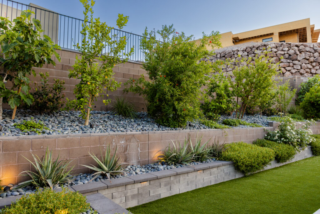 Landscaping Contractors Las Vegas – Landscaping Rules You Should Never Break
