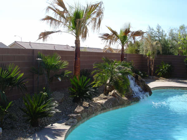 Custom pool Area and landscaping