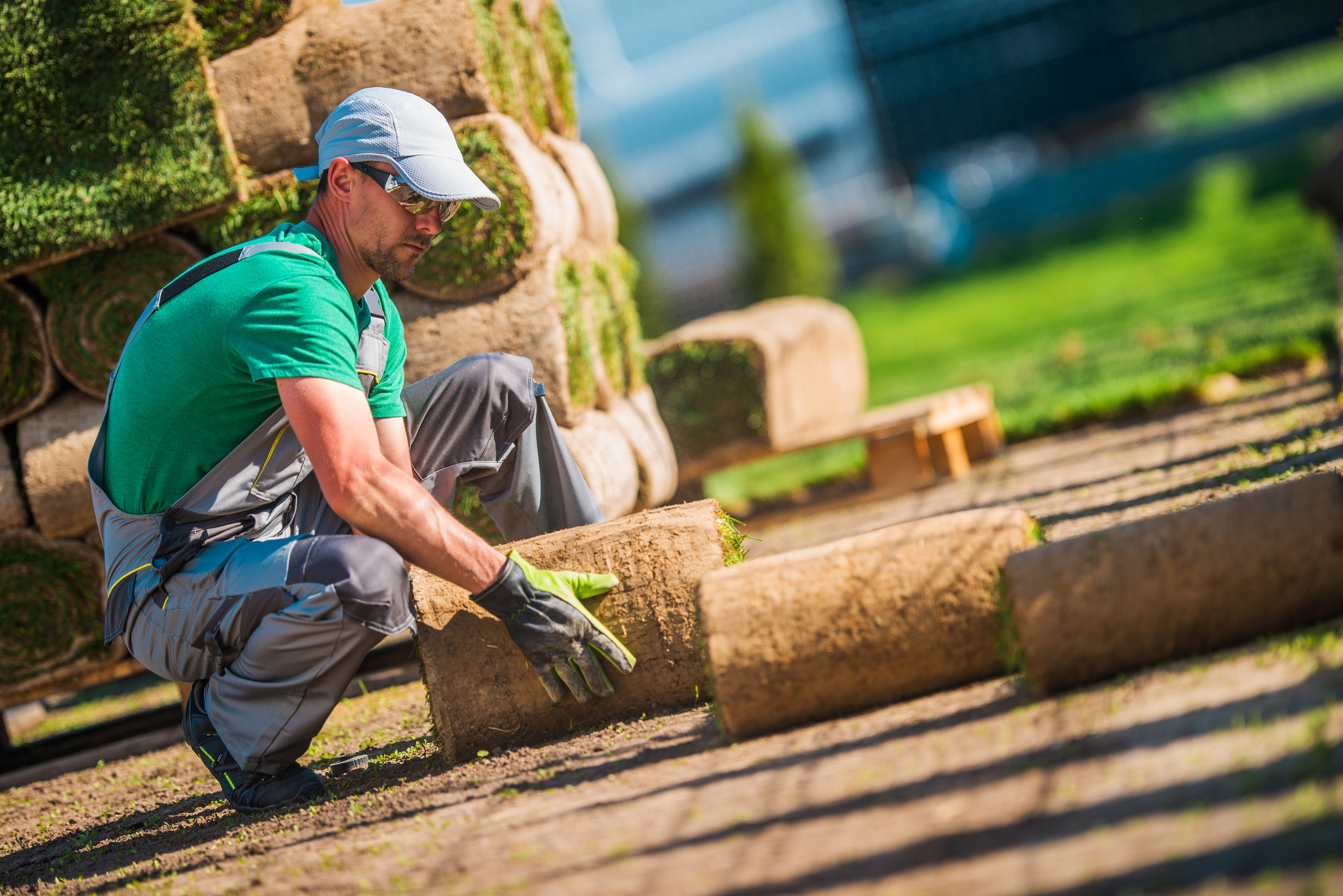 Lawn Care Services & Landscaping Contractors