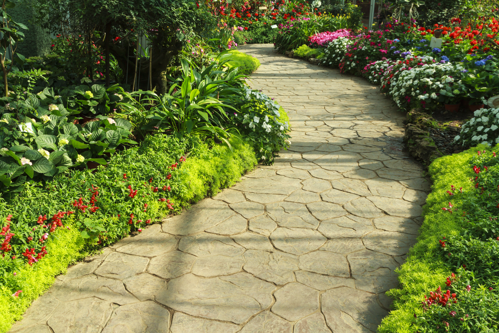 Landscape Design
