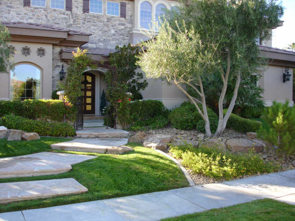 front yard