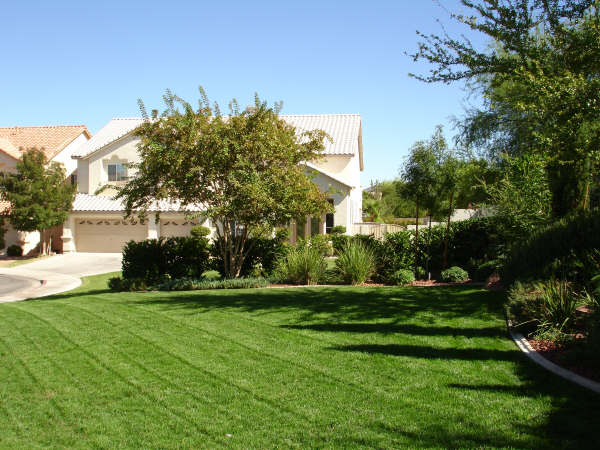 Lawn Care Services & Landscaping Contractors