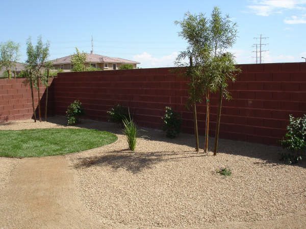 xeriscape