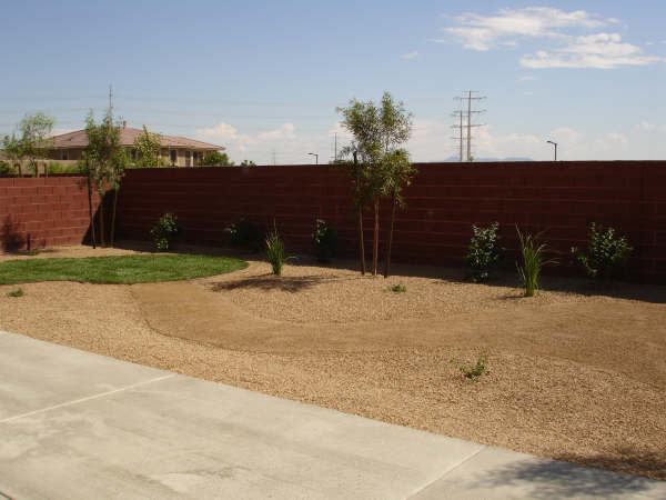 xeriscape