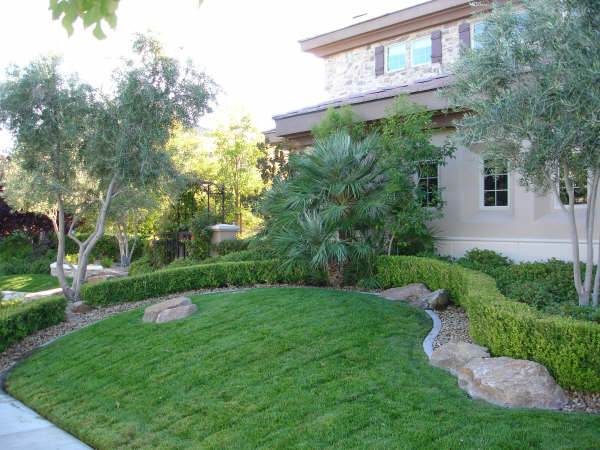 landscaped lawn and bushes