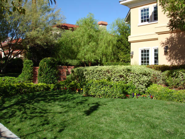 landscaped lawn and bushes