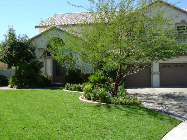 Flowerbed and frontYard