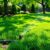 A sprinkler waters a lush green lawn in a field, showcasing effective irrigation services.