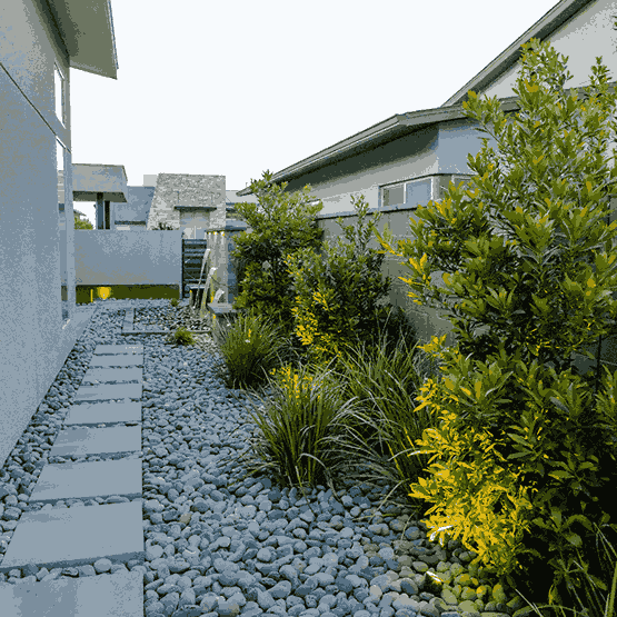 A landscaped walkway featuring rocks and plants, illuminated by soft landscape lighting in Mountains Edge's a yard setting