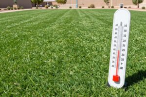 Synthetic turf withstanding extreme Las Vegas summer heat