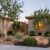 Complete Las Vegas landscape design showing trees, shrubs, and groundcovers installed professionally