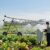 commercial irrigation services