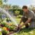 lawn irrigation services