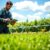 irrigation services