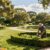 Landscape Maintenance