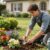 plant installation services