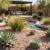 drought tolerant plants las vegas