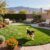 drought tolerant plants safe for dogs
